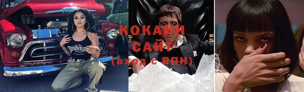 шишки Касимов