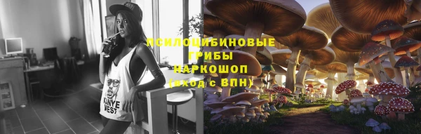 шишки Касимов