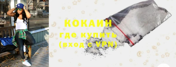 шишки Касимов