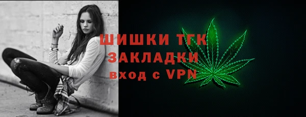 spice Карпинск