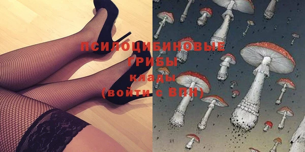 шишки Касимов