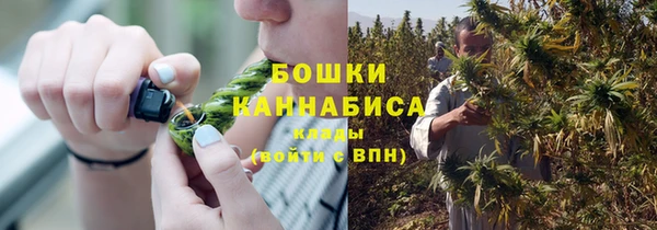 spice Карпинск