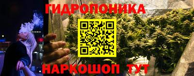 эйфоретик Гусь-Хрустальный