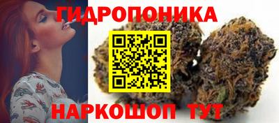 эйфоретик Гусь-Хрустальный