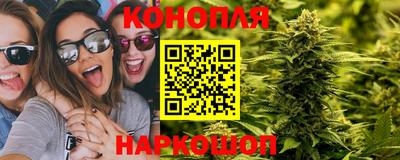 эйфоретик Гусь-Хрустальный