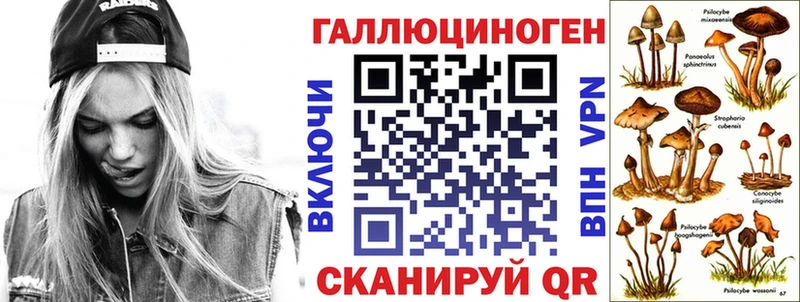 Псилоцибиновые грибы GOLDEN TEACHER  Казань 