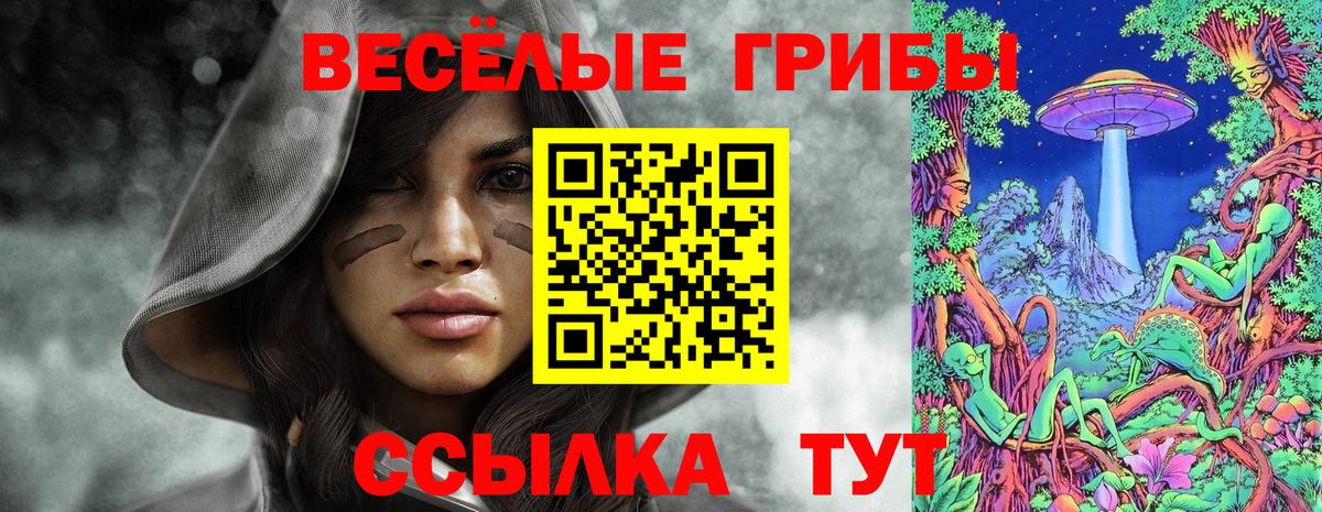 что такое   Псилоцибиновые грибы Psilocybe  Вход с VPN  Казань 